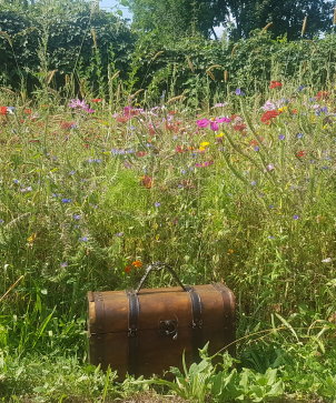 Piratenschatzkiste in der Klimawiese